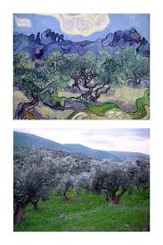 Vincent Van Gogh Vs Flickrjunkie Olive Trees Artist Van Gogh Van Gogh Art Vincent Van Gogh Paintings