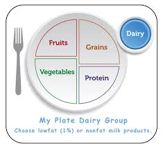 Parents Guide To Understanding What Is The Dairy Food Group