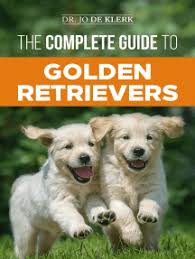 Akc certified golden retrievers champion sired/bloodlines bred for quality attributes ofa certified hips, heart, eye… Read The Complete Guide To Golden Retrievers Finding Raising Training And Loving Your Golden Retriever Puppy Online By Dr Joanna De Klerk Books
