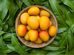 15 Yummy Indian Mango Varieties And How To Identify Them