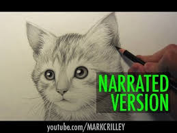 Paint and decorate cute kitten. How To Draw A Kitten Narrated Step By Step Youtube