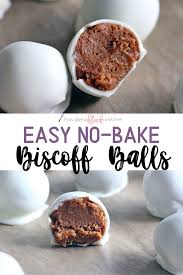 No Bake Biscoff Balls Recipe In 2020 Food Processor Recipes Fun Desserts Baking
