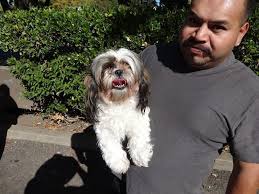 9,511 likes · 37 talking about this · 40 were here. Low Cost Dog And Cat Shots In Northern California Mobile Pet Care Services Modesto Ca Low Cost Dog And Cat Shots In Northern California