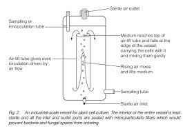 We did not find results for: Plant Cell And Tissue Culture