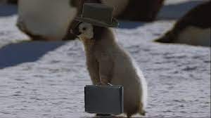 You Still Have To Go To Work Or School Penguins Penguin Gif Baby Penguins