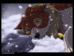 I mean look at them; Depressed Sad Anime Wolf Boy Novocom Top