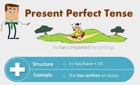 Dengan melihat contoh kalimat adjective, kamu akan semakin. Present Perfect Tense Pengertian Rumus Contoh Kalimat Soal