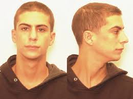 lynda's stry /photos