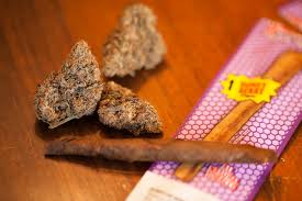 what are backwoods