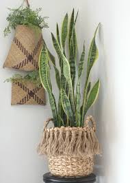 Fall Dining Room Plant Basket Fall Dining Room Plant Decor
