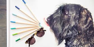 We have a clear commitment: The Regulations On Cosmetic Testing On Animals Worldwide In 2019 Coveteur Inside Closets Fashion Beauty Health And Travel