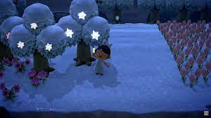 One of the coveted goals in animal crossing: Maybe Don T Buy Star Fragment Trees From Animal Crossing Hackers