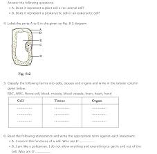 A cell part may be used more than once. Important Questions For Class 8 Science Chapter 8 Cell Structure And Functions