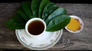Durian belanda membantu meningkatkan sistem imunisasi badan. Inilah Manfaat Minum Teh Daun Durian Belanda Selain Dari Membunuh Sel Kanser Petua Ibu