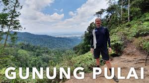 Also, keep an eye out for monkeys and lizards while trekking around the park. Hiking Malaysia Gunung Pulai A Great Way To Escape Singapore For A Day Youtube