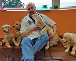 Davis pet hospital, 816 s. Davis Crocker Invest In Future Colleagues Veterinary Medicine At Illinois