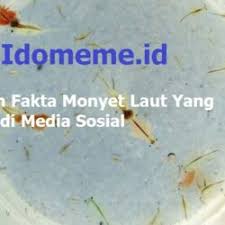 Kumpulan 111 90 l 150 204 videos spektekno saking populer nya menjadikan yang paling banyak di google pencarian. The Daily Trends 111 90 L 150 204 Viral Full Video 111 90 150 204 111 90 150 182 111 90 L 150 204 Viral Full Bokeh Archives Idntrending Com Yang Mana Videonya Selalu Diburu Oleh Pengguna Gadget Indonesia Ataupun Luar Negeri