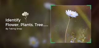 Put in the plants, flowers, and ornamentals. Apps Like Plant Identification Flower Identification For Android Moreappslike