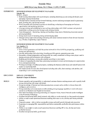 Job description the senior account manager (sam) will maximize client brands and achieve measurable marketing results by working with client contacts and agency team members to create and execute integrated marketing communications programs for clients. Senior Business Development Manager Resume Samples Velvet Jobs