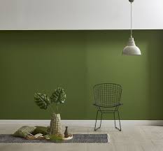 Kombinasi warna hijau, warna cat rumah hijau army, warna yang cocok dengan hijau tua, cat. Gabungan Warna Olive Green