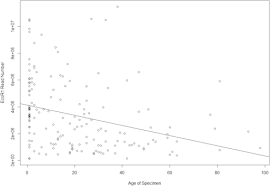 Image result for Stellaria mannii