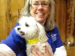 Truckee-Tahoe Pet Lodge provides premium facilities for pets