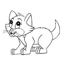 صور قطط روعة للتلوين تلوين قطط للاطفال رائع صور قطط للتلوين 2020 animal coloring pages cat coloring page cat colors