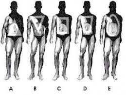 What S Your Body Shape Male Body Shapes Male Body Body Shapes