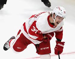 · 2) what have red wings fans traditionally thrown onto the ice? Carolina Hurricanes Should They Unite The Svechnikov Brothers