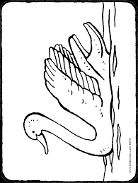 Feel free to print and color from the best 34+ swan coloring pages at getcolorings.com. Swan Kiddicolour