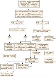 Fetal Hemolytic Disease Content Last Reviewed 15th March