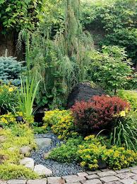 Be sure to check each tree's plant zone to. Add Landscape Interest With Weeping Trees Better Homes Gardens