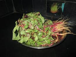 Gilke chi bhaji, gilkyachi bhaji recipe in marathi, gilka bhaji recipe, khandeshspecial, ghosalyachi bhaji in. View Pokala Bhaji Background