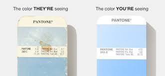 Pantone Pantone Color Chips Color Guides Color