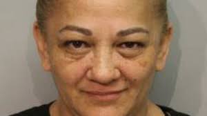 More details emerge after cockfight raid: 25 dead roosters, $20K in cash  seized