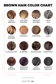 Shades Of Brown The Ultimate Brunette Hair Color Chart