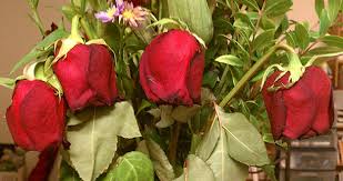 Not sure why they have the question asking when you want the flowers delivered if they are going to deliver when the florist wants to deliver. Sending Flowers Here S Why Top Florists Get Such Bad Reviews Freebiespot Net