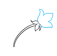 What to draw for mothers day. How To Draw A Mother S Day Flower Really Easy Drawing Tutorial Drawing Tutorial Easy Easy Drawings Drawings