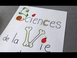 Des coloriages magiques niveau 6e en anglais à distribuer aux élèves à chaque début de séquence en 6e: Page De Garde Svt Decorer Son Cahier Youtube