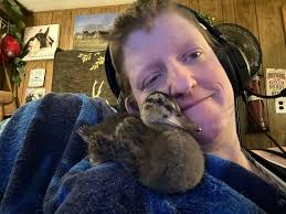 Hi all! I just wanted to introduce myself and share a photo or two of  Daisy, my 5 week old female mallard. I bought several to raise as food. She  reject s