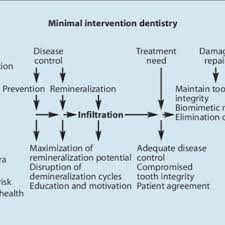 Those between five and nine years after graduation, those 10 to 19 years and those 20 or more years out of school. Pdf Closing The Gap Between Oral Hygiene And Minimally Invasive Dentistry A Review On The Resin Infiltration Technique Of Incipient Proximal Enamel Lesions