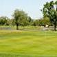 Tracy City Amateur & Senior Championship - Tracy Golf & Country Club, 35200 S Chrisman Rd Event Image