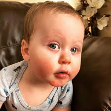 Labrador puppies reaching new milestones