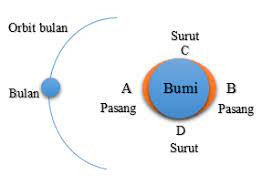 Pasang surut air laut terjadi akibat gaya gravitasi bulan terhadap air laut. Pasang Surut Air Laut Sains Multimedia