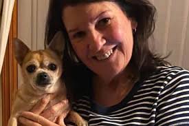 Meet Chino the chihuahua