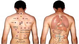Cupping Is A Form Of Traditional Chinese Medicine That Aims To Improve The Flow Of Qi Energy In A Patient S Body Cuppin Hijama Hijama Points Cupping Therapy