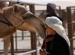 What began as a festival that focused mainly on camels and camel … Al Dhafra Festival Returns To Abu Dhabi Arts Culture Gulf News