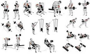 How To Build Arm Muscles - Quora