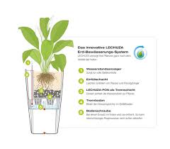 Lechuza Delta 56 X 30 Cm Dehner Toutes les commandes passées sur notre boutique en ligne lechuza entre le pots et balconnières intégrant le système d'irrigation intelligent avec réserve d'eau de lechuza. lechuza