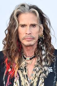 372 Steven Tyler Stock Photos